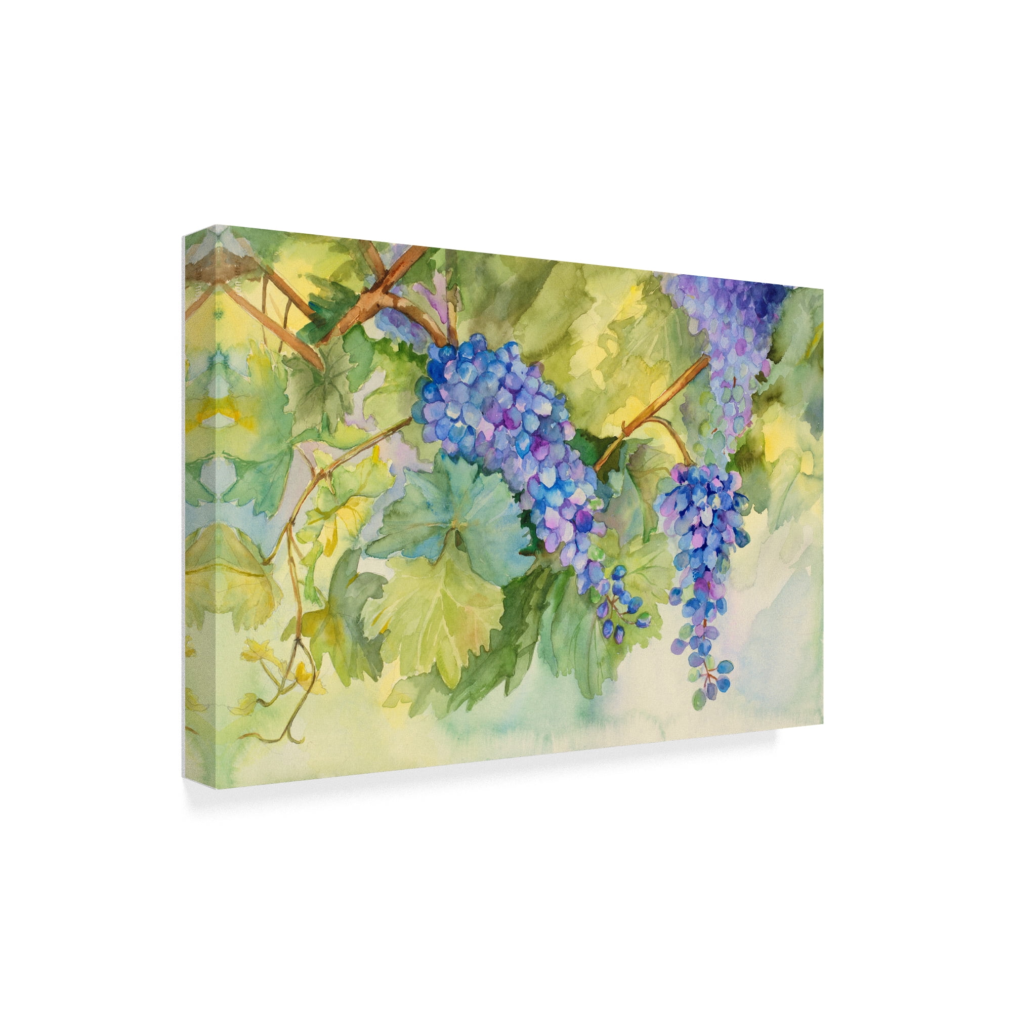 Trademark Fine Art 'Grape Vineyard' Canvas Art by Joanne Porter