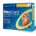 thumbnail image 1 of NEXGARD SPECTRA CH 3.6-7.5 KG NEXGARD SPECTRA Chico, 1 of 2