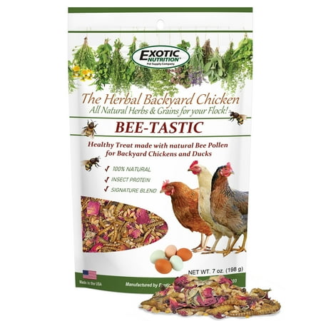 Exotic Nutrition Bee-Tastic Chicken Treat