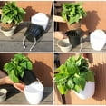 thumbnail image 4 of Lazy Flower Pot Water Hanging Plants Pot/Self Watering Planter,Succulent Plants and Small Flower pots Plants Pots Indoor Out Wall Hang Flowerpot Window Boxes (White), 4 of 8