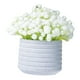 thumbnail image 4 of Flores artificiales de aliento de bebé, plantas artificiales, mini plantas en maceta, Blanco, 4 of 9