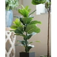 thumbnail image 2 of Wayborn Dmax Green/Black Potted Fiddle-Leaf Fig Plant 19.7″L X 15.8″W X 35.4″H, 2 of 5