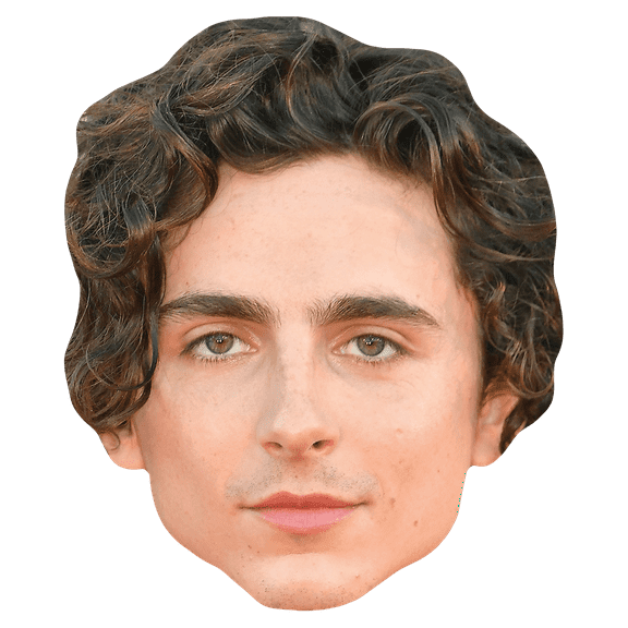 Timothée Chalamet (Curls) Celebrity Mask, Flat Card Face, Fancy Dress Mask