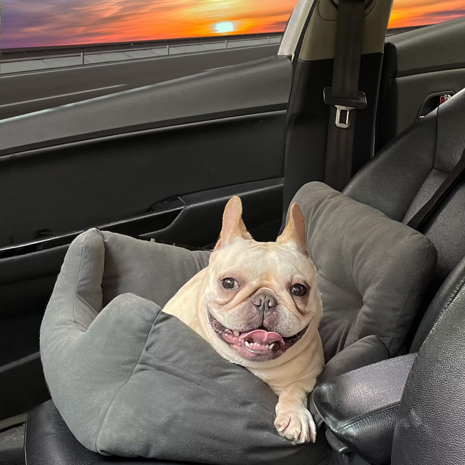 PET Dog Car Seats for Small Dogs, Puppy Car Seat, Dog Car Bed for Small
