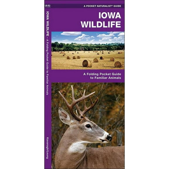 Iowa Wildlife : A Folding Pocket Guide to Familiar Species