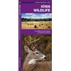 Iowa Wildlife : A Folding Pocket Guide to Familiar Species