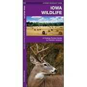 Iowa Wildlife : A Folding Pocket Guide to Familiar Species