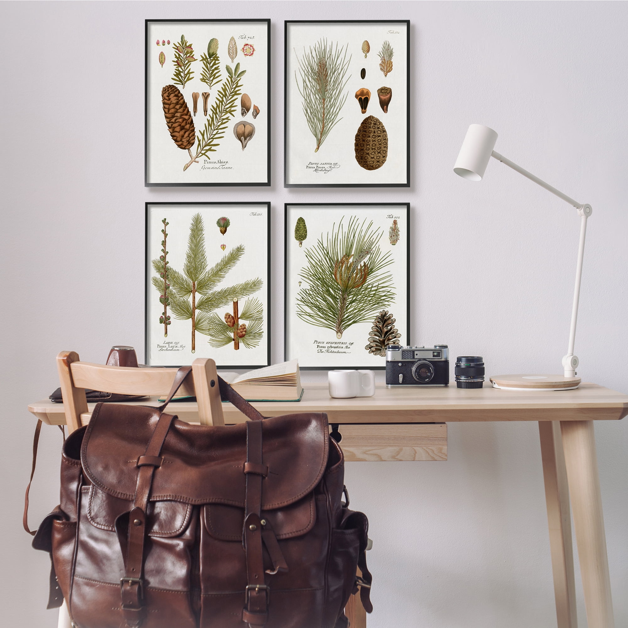 Stupell Industries Vintage Forest Pine Illustrated Study Green Brown Plants, 16 x 20, Design by Kelly Donovan