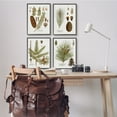 thumbnail image 2 of Stupell Industries Vintage Forest Pine Illustrated Study Green Brown Plants, 16 x 20, Design by Kelly Donovan, 2 of 7