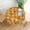 Vibrant and Delicious Fast Food, variant on Tasty Italian Pizza Pattern Delicious Fast Food Tablecloth Round 60 Inch Table Cloth Cover Mat Holiday Party Decoration for Dining Room Home Kitchen Picnic