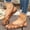 Brown, variant on Viluyesy Womens Flat Sandals, Elastic Strap Closed Toe Lightweight Comfort Summer Casual Fashion Shoes Brown US6.5