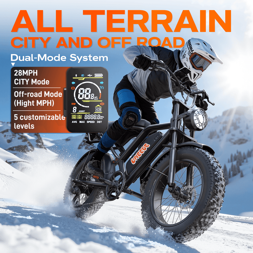 UNEEDE BK20 Fat Tire E Pedal-assist Bike for Adults
