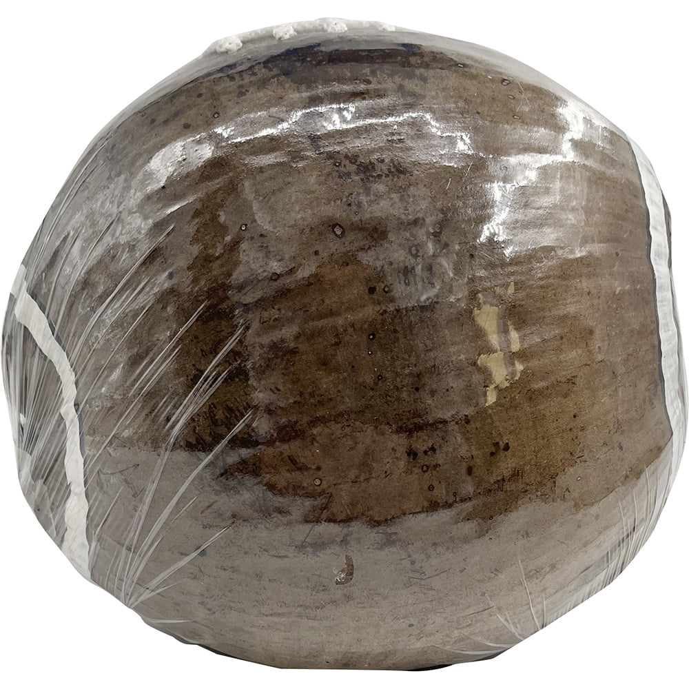 South Seas Native Treasures Real Coconut Football Money Bank