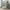 Gray, variant on Churanty Twin Over Twin House Bunk Beds with Slide, Twin Bunk Bed with Storage Stairs and Trundle, Wood Kids Bunk Bed with Roof and Window for Girls Boys,White