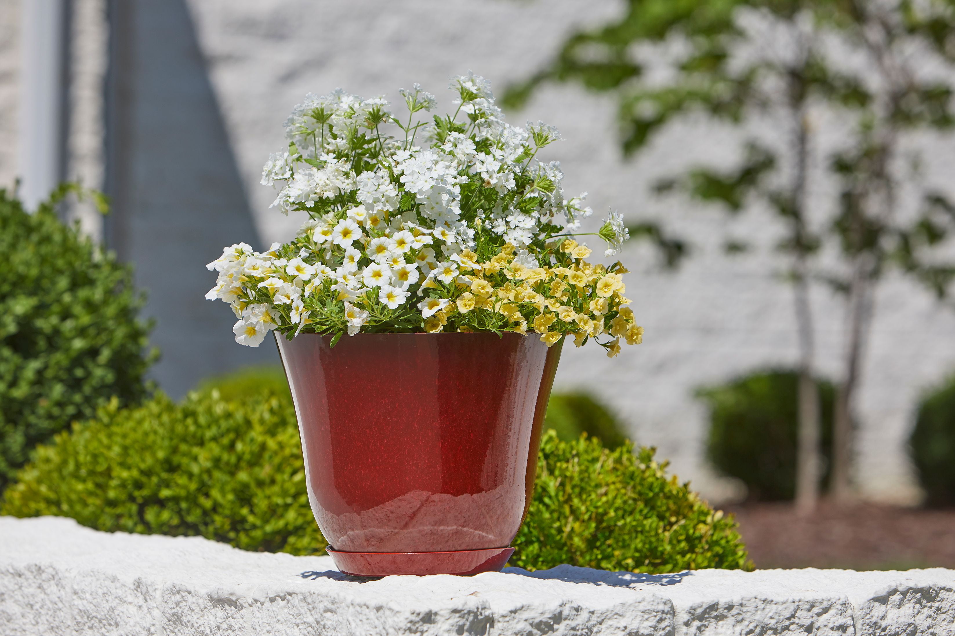 Better Homes & Gardens Arnette 22 in Red Plastic Planter