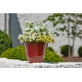 thumbnail image 4 of Better Homes & Gardens 22in Arnette Red Plastic Planter, 4 of 6