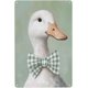 thumbnail image 1 of Letreros metálicos de hojalata con diseño de pato blanco con pajarita a cuadros, decoración de pared de 8 x 12 pulgadas, 1 of 8