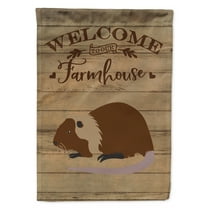 Caroline's Treasures CK6823GF Coypu Nutria River Rat Welcome Flag Garden Size , Small, multicolor