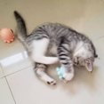 thumbnail image 2 of Juguete Para Masticar Octopus Bite Masticar Pet Cat Lick Balls Limpiar los dientes Catnip Mint Balls (Azul) Tmvgtek Libre de BPA, 2 of 6
