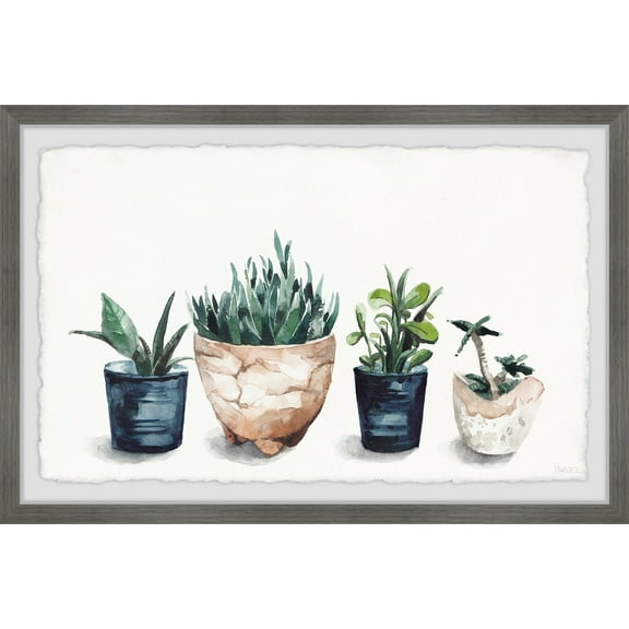 Parvez Taj Multi Colored Planters Framed Painting Print