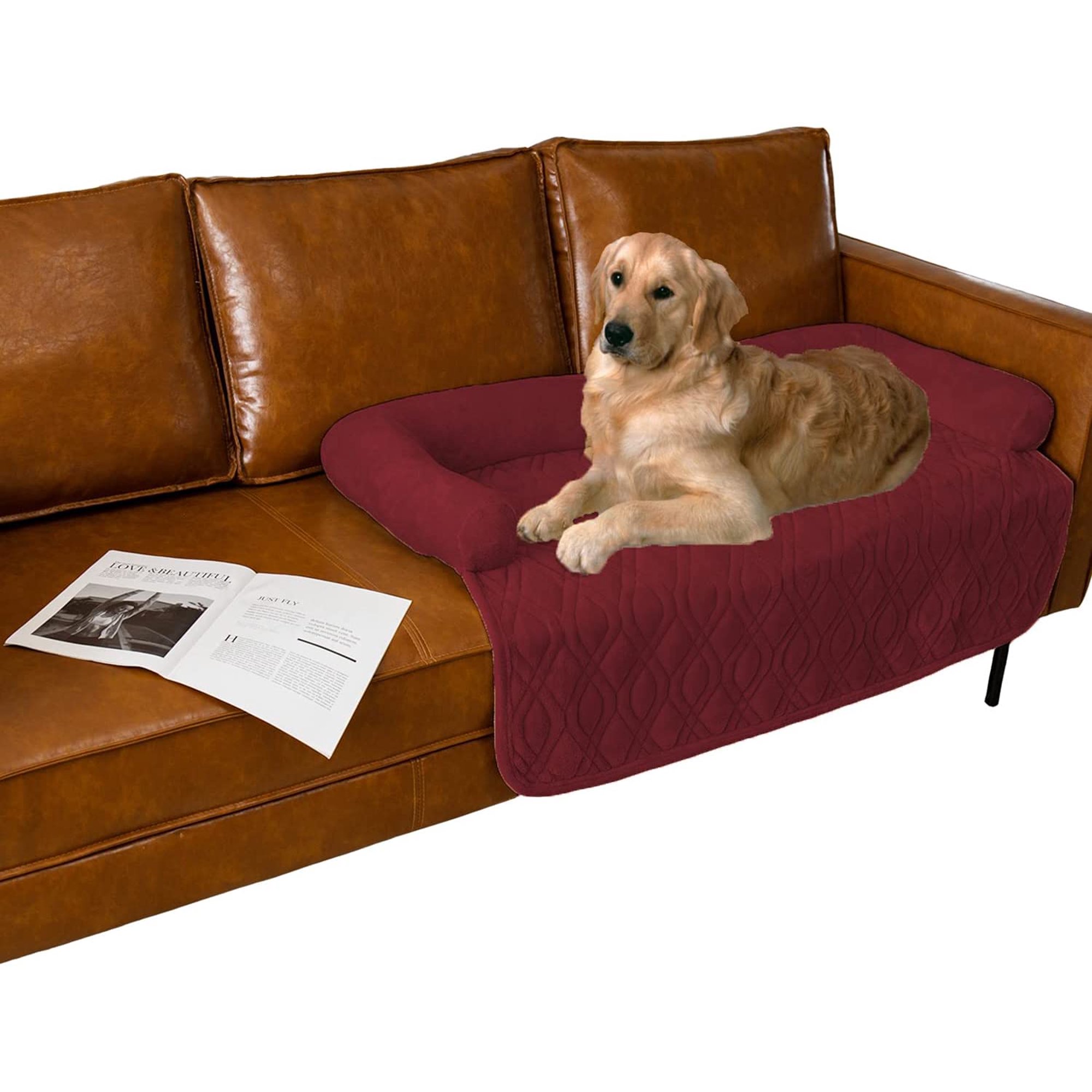 Why Do Dogs Love Couches