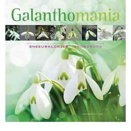 Galanthomania: Sneeuwklokes / Snowdrops