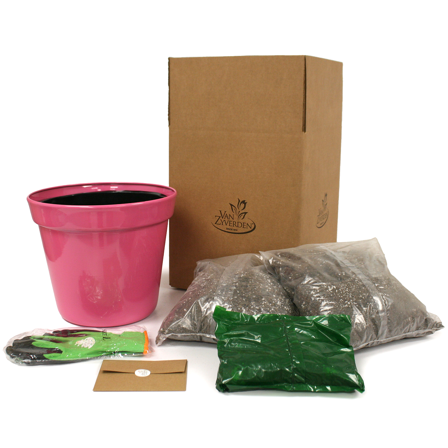 Van Zyverden Patio Golden Romance Lilies with Metal Planter, Nursery Pot, Medium, Gloves and Planting Stock, 7 Bulbs, Yellow, Partial Sun, Perennial, Fragrant, 8lbs