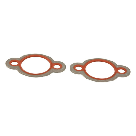 Engine Water Pump Gasket