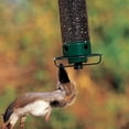 thumbnail image 3 of Comederos de pájaros para exteriores, comederos de pájaros a prueba de ardillas para colgar al aire libre, comederos de semillas de pájaros salvajes de metal para pájaro azul, cardenal, pinz, 3 of 4