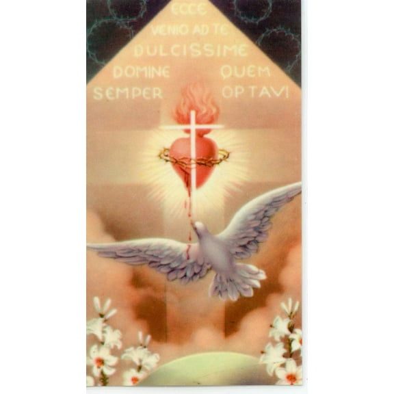 Prayer to the Holy Spirit holy card - laminated - Pack of 25