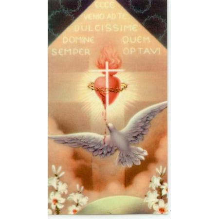 

Prayer to the Holy Spirit holy card - laminated - Pack of 25