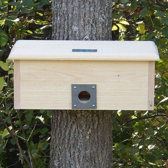 Coveside Conservation Products Bird Birdhouse Kit Handcrafted in Main 