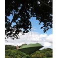 thumbnail image 4 of Lullio-double-feuille vert, 4 of 5