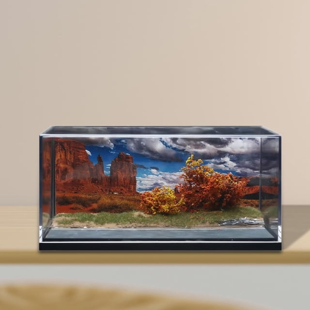 Vitrina de exhibición Baoblaze 1/64 para Coche modelo Diorama de parque