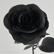 Blukids 1pcs Black and White Red Roses Artificial Flowers with Stems, Faux Silk Flowers Bridal Gothic Wedding Bouquet, Realistic Blossom Flora for Home, Office, Hotel Decorations(Black)