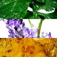 thumbnail image 2 of Spray corporal Davidoff Cool Water All Over Body Spray Spray corporal Caballero 5 oz, 2 of 2