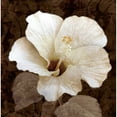 thumbnail image 3 of Mallett, Keith 12x12 Black Modern Framed Museum Art Print Titled - Verdant Blossom, 3 of 5