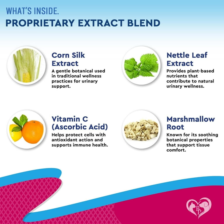 Natural Cure for Urinary Tract Infection in Cats: Effective Home Remedies