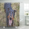 thumbnail image 1 of ZY-suttom Rideau de Douche Chien Grognon Agressif Rottweiler Aboyant en Colère 66x72 Pouces, 1 of 1