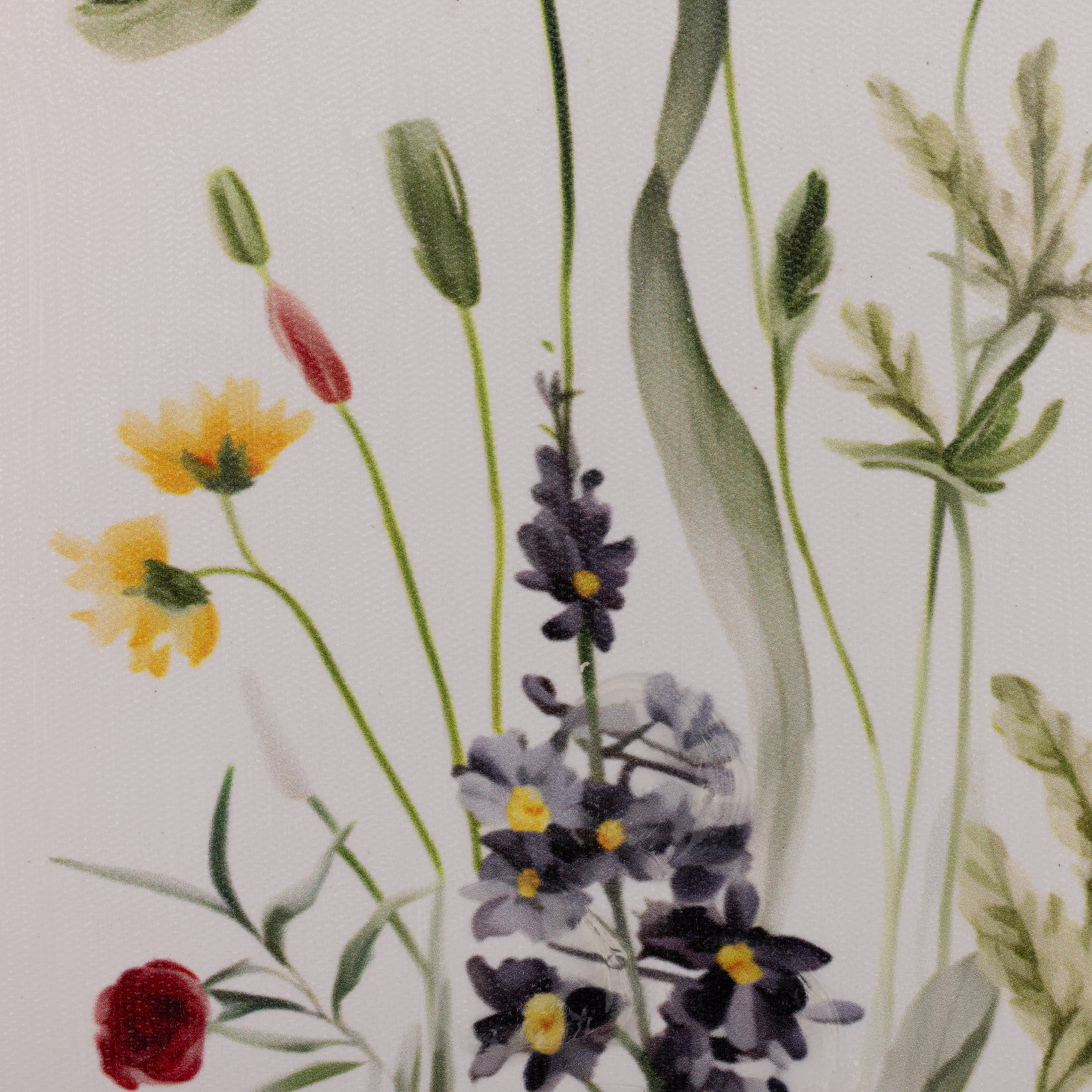 Gallery Solutions Set of 2 Botanical Floral Canvas Art with Beaded Frame