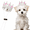 Silver Pink, variant on Pet Rhinestone King Crown Rhinestone Dog Crown with Adjustable Strap Party Costume Accessories Golden Queen Crowns for Small Dog Cats