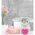 thumbnail image 6 of DolliBu Happy Mother's Day Super Soft Plush Grey Rabbit Figure - Cute Stuffed Animal with Pink Heart Message for Best Mommy, Grandma, Wife, Daughter - Cute Farm Life Plush Toy Gift - 6.5" Inches, 6 of 6