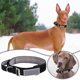 thumbnail image 2 of Collar de perro ligero - a prueba de explosiones, para perros grandes, tiras reflectantes, 2 of 4