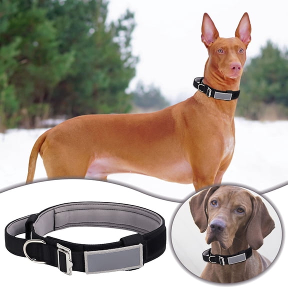 Durable Reflective Dog Collar Heavy Duty Nylon Pet Collar with Metal Buckle for Large Dogs Adjustable Comfortable Training