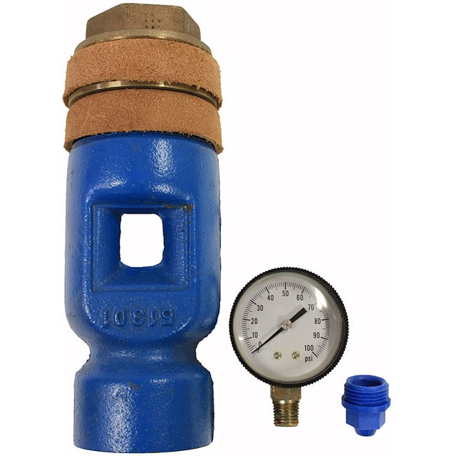 Goulds FP2-07 Deep Water Well Jet Assembly Packer System (FP2B-07) – Made In USA