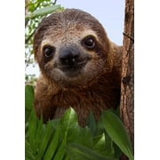 Hallmark Friendship Card, Thinking of You Card (Sloth)