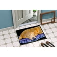 thumbnail image 4 of Carolines Treasures SS8909MAT Golden Retriever Tapis Intérieur Extérieur - 18 x 27 Po., 4 of 4