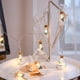 thumbnail image 4 of Naiovety Tira de lámpara de cadena de luz nocturna para árbol de Navidad, accesorios de diseño de fiesta, iluminación de ambientes, suministros Kits de decoración para fiestas 2M 20 luces Naiovety HA073733-04, 4 of 6