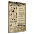 thumbnail image 1 of Funny Chihuahua Dog Wall Art Knowledge Poster Canvas Prints Vertical Pictures For Kids Room Decor Unframed 16×24 in, 1 of 5