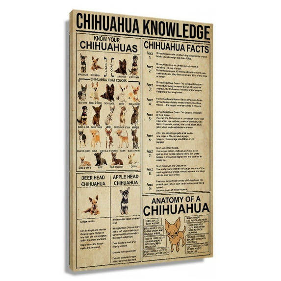 Funny Chihuahua Dog Wall Art Knowledge Poster Canvas Prints Vertical Pictures For Kids Room Decor Unframed 16×24 in